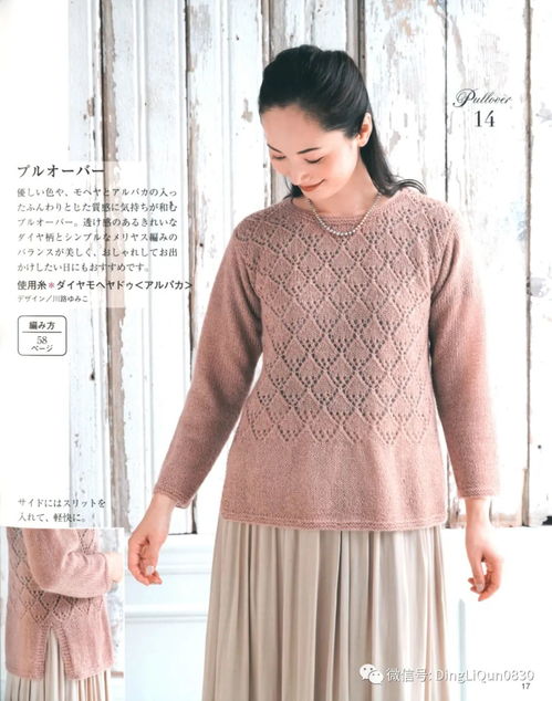 針織圖解 女士精品系列的24款服裝及配飾 完整版